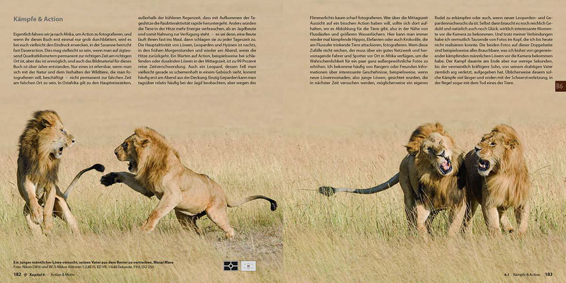 Buch "Abenteuer Safari-Fotografie"