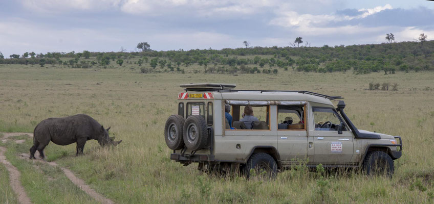 Fotosafari Momente meiner Workshops in der Masai Mara 