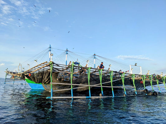Pêcheurs sur un Bagan au large de Pulau Misool