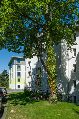 Studierendenwohnheim Graacher Straße Köln KSTW