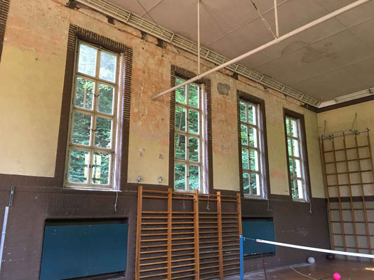 Sanierung und Umnutzung einer historischen Turnhalle zum Nachwuchsleistungszentrum, Bestand, Halle