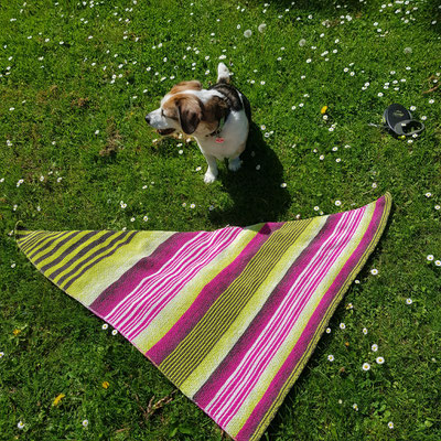 "Pink Kiwi Variante 7": Tuch gestrickt und fotografiert von Claudia Wanzke.