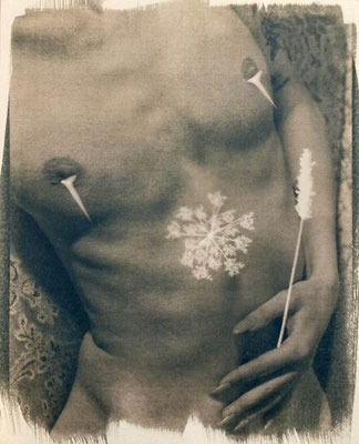 Solarplexus (Cyanotype, plant parts, green tea, baking soda, hydrogen peroxide)