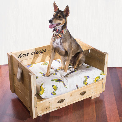 Cama para perro Gilda. Repuntomadera.