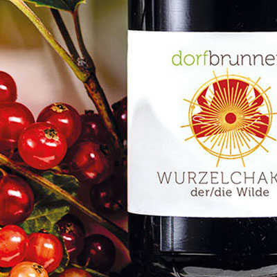 Design, Logo, Ausstattung, Konzept