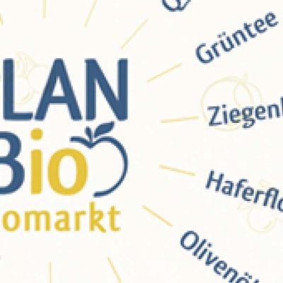 Design, Logo, Ausstattung 