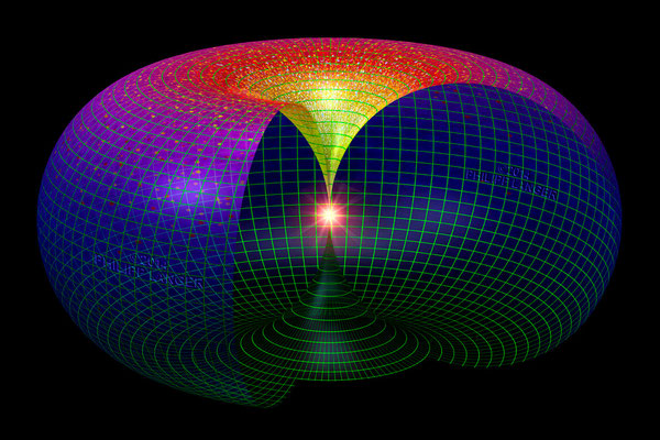 Torus Universe