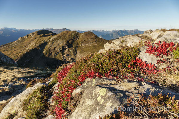 Herbst im Berner Oberland