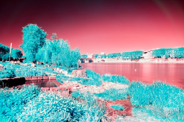 Prairie des Filtres