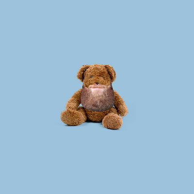 Teddy Beard