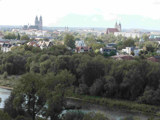 Blick auf Magdeburg vom Jahrtausendturm