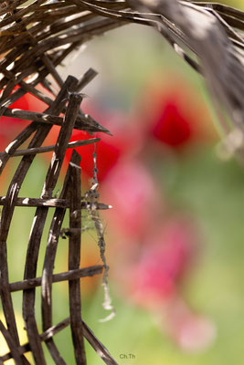Christine
