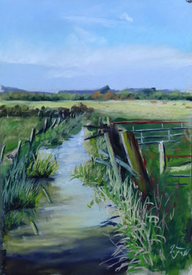 Grüner Damm, Pastell 30 x 45  350,- gerahmt 40 x 50