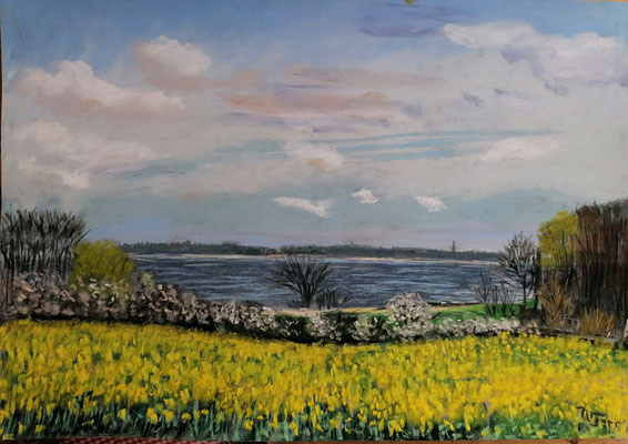Rapsblüte am Habernisser na de Huk Pastell 30 x 45 gerahmt 40 x 60 350,-  