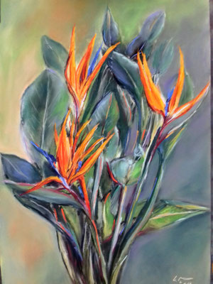 Strelizie 30 x 45 