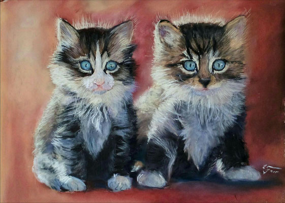 Katzenwelpen 30 x 40 Pastell 290,- gerahmt 