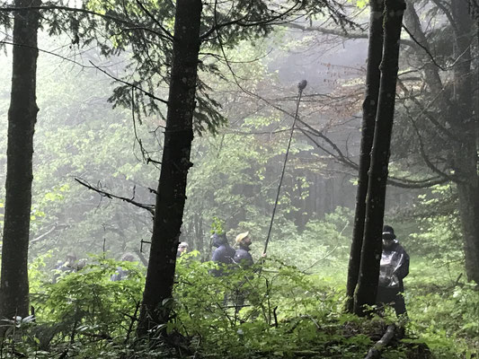 Petite équipe, grande forêt.