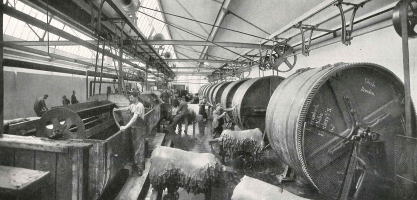 Bildquelle: "Erinnerungsblätter zur Feier des 75jährigen Bestehens der Lederwerke Heinrich Bierling GmbH in Dresden u. Bockwitz", Dresden, 1910