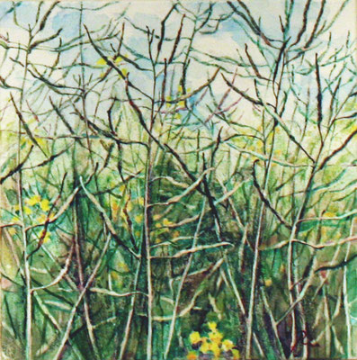 Rapsfeld - tief - 40 x 40 cm 
