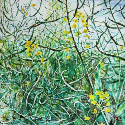 Rapsfeld - wild - 40 x 40 cm