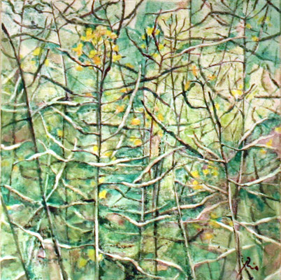 Rapsfeld - dicht - 40 x 40 cm