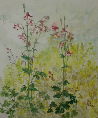 Elfenschuh und Regen  - 50 x 60 cm -private collection