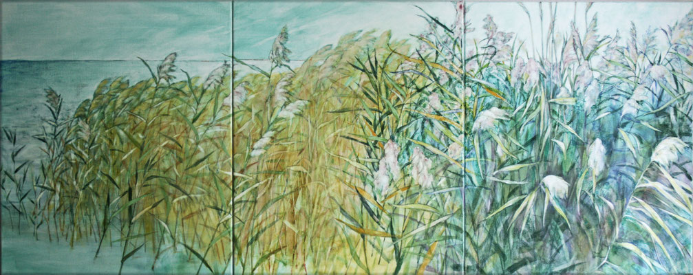 Schilf - 120 x 55 cm