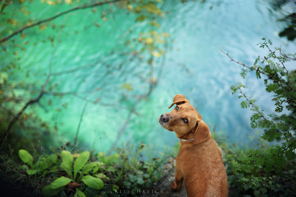 mit Hund im Nationalpark Plitvicer Seen