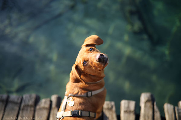 mit Hund im Nationalpark Plitvicer Seen