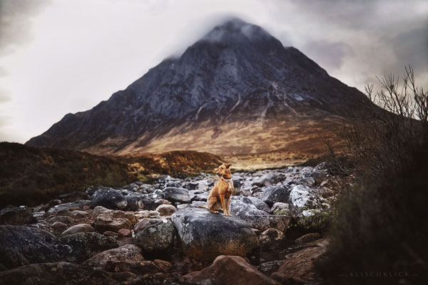 Roadtrip mit Hund Schottland Etive Mor Waterfall