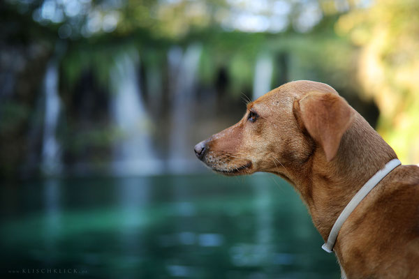 mit Hund im Nationalpark Plitvicer Seen