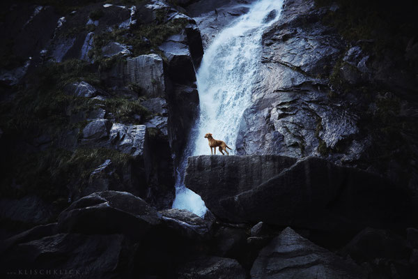 Hund Pina Barbianer Wasserfall