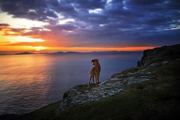 Roadtrip mit Hund Schottland Neist Point