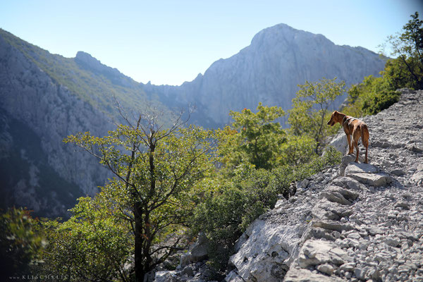 mit Hund im Nationalpark Paklenica