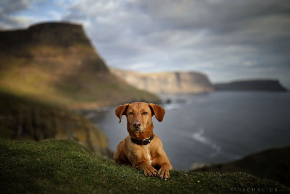 Roadtrip mit Hund Schottland Neist Point