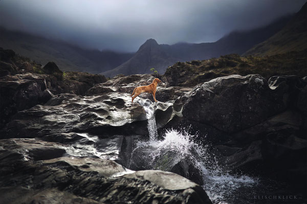 Roadtrip mit Hund Schottland Fairy Pools