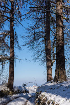 Blick auf Rastenfeld/ von Lärchenallee Rastenberg aus