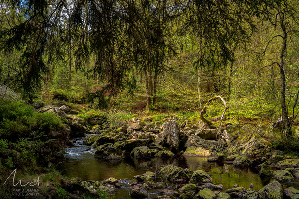 Ardennen