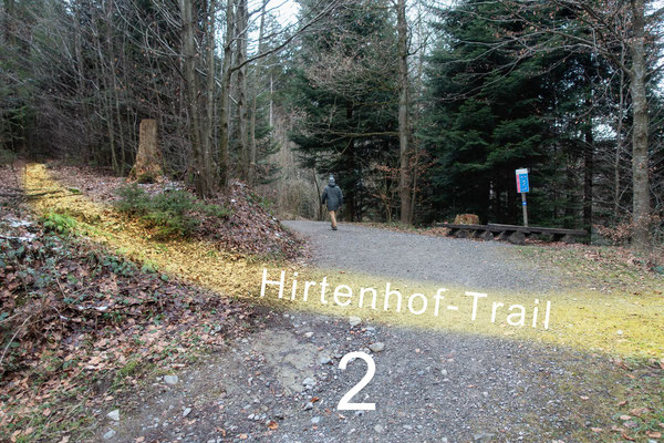 Kreuzung mit Hirtenhof-Trail beim Vita-Parcours