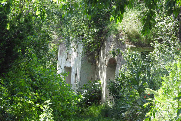 Elfi Fleischhacker - Grafenberg