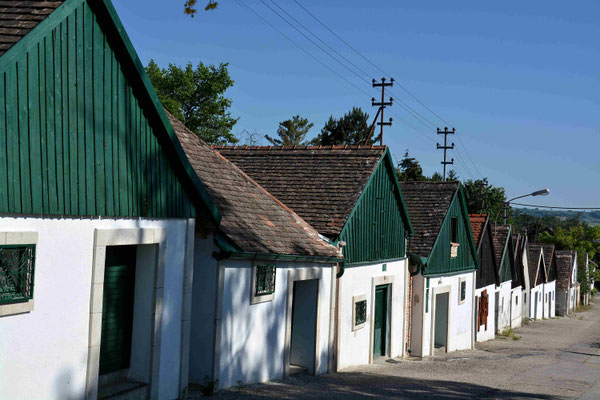 Heidi Twaruschek - Haugsdorf