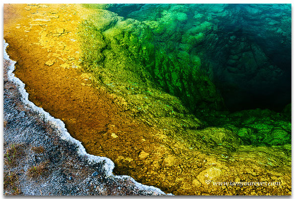 Detail of Morning Glory Pool, Upper Geyser Basin