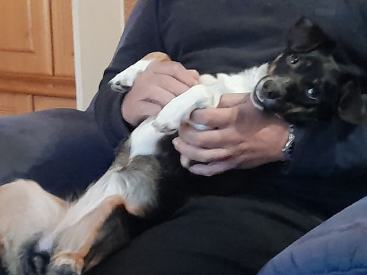 KAJA