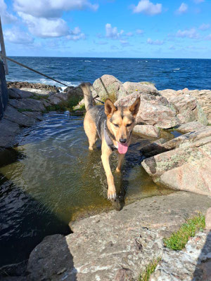 NORA