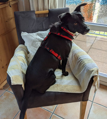 EMMI