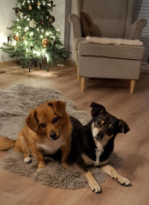 ROCCO & LOTTI