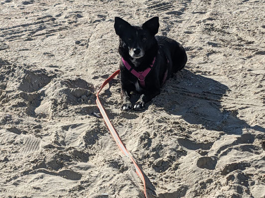 EMMI