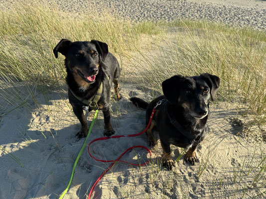 JUTKA & RANEK