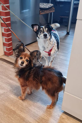 JACKY & PEDRO