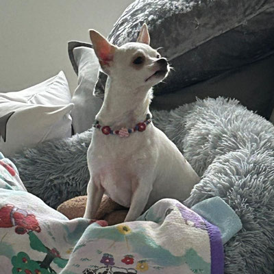 MILKA/FENJA
